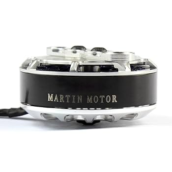 Amazon.com: TAROT TL2955 4008 330KV Martin RC Brushless